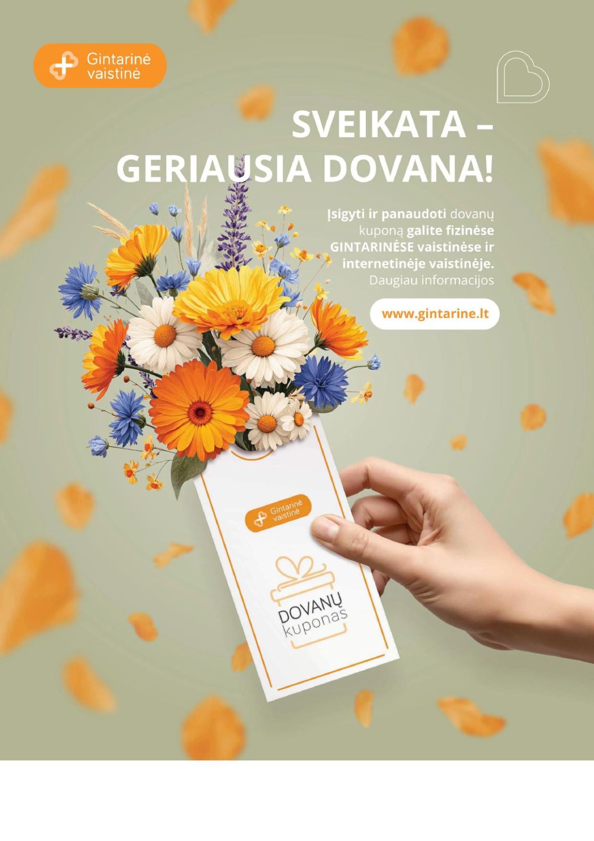 GINTARINĖ VAISTINĖ (2026 05 01 - 2026 05 31) | 14
