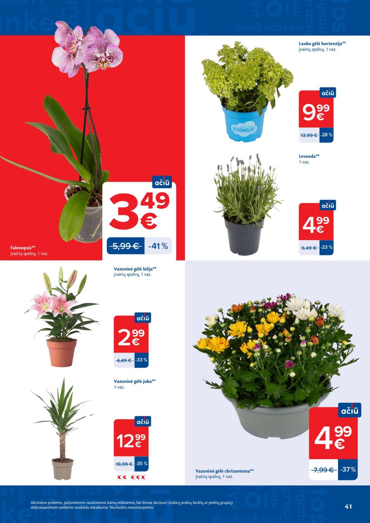 MAXIMA - Kaininis leidinys Nr.29 (2026 07 14 - 2026 07 20) | 21