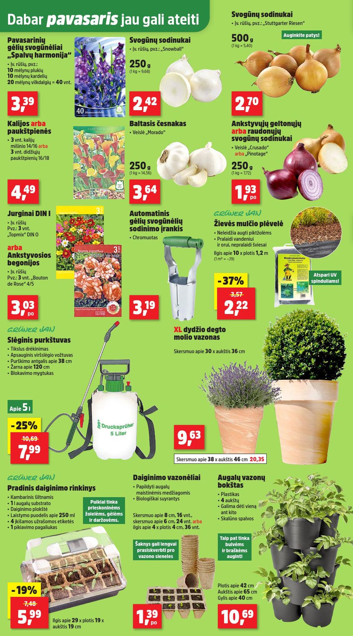 THOMAS PHILIPPS (2026 02 17 - 2026 02 21) | 2