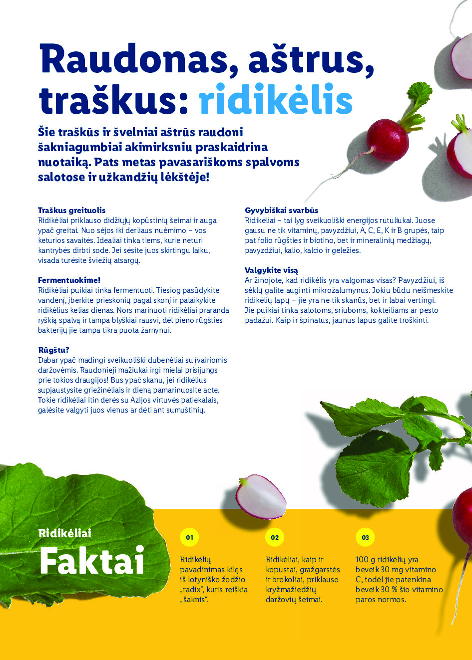 Velykos, pilnos džiaugsmo (2026-02-23 - 2026-04-06) | 58