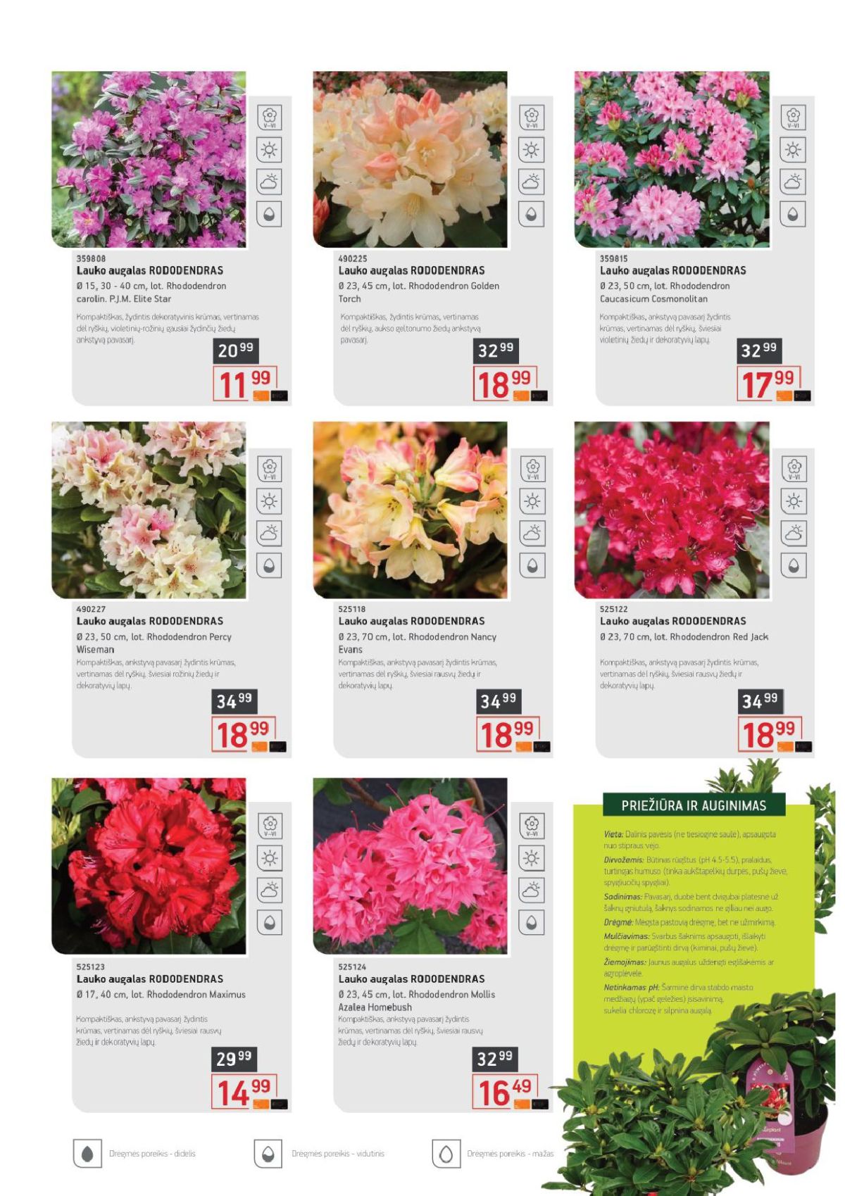 ERMITAŽAS - Pavasario katalogas (2026 04 01 - 2026 05 03) | 7