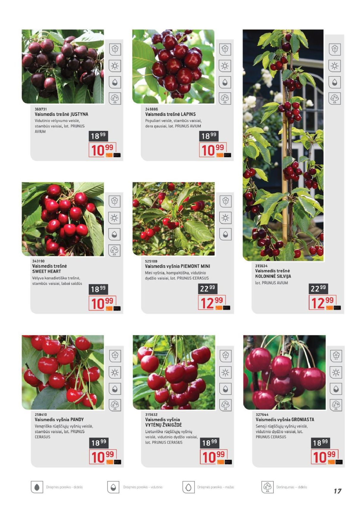 ERMITAŽAS - Pavasario katalogas (2026 04 01 - 2026 05 03) | 9