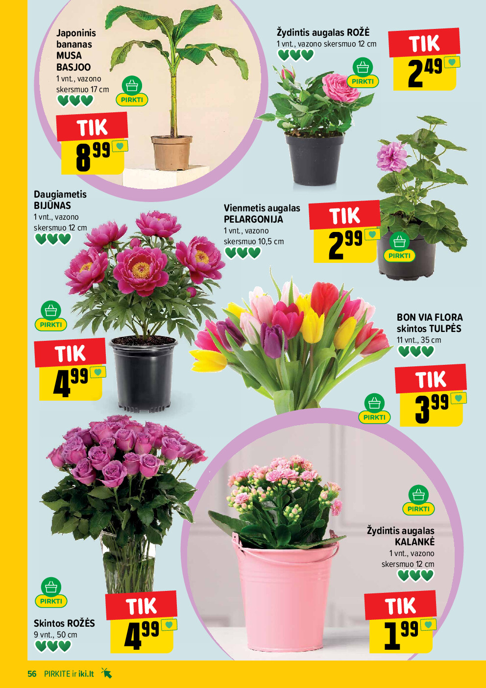  (2026-04-20 - 2026-04-26) | 56