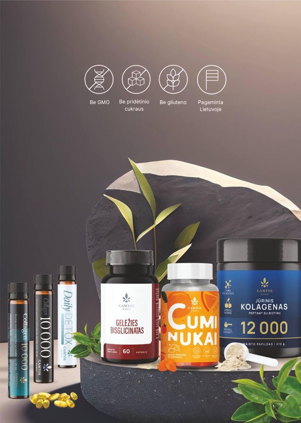 MANO VAISTINĖ (2026 01 01 - 2026 01 31) | 20