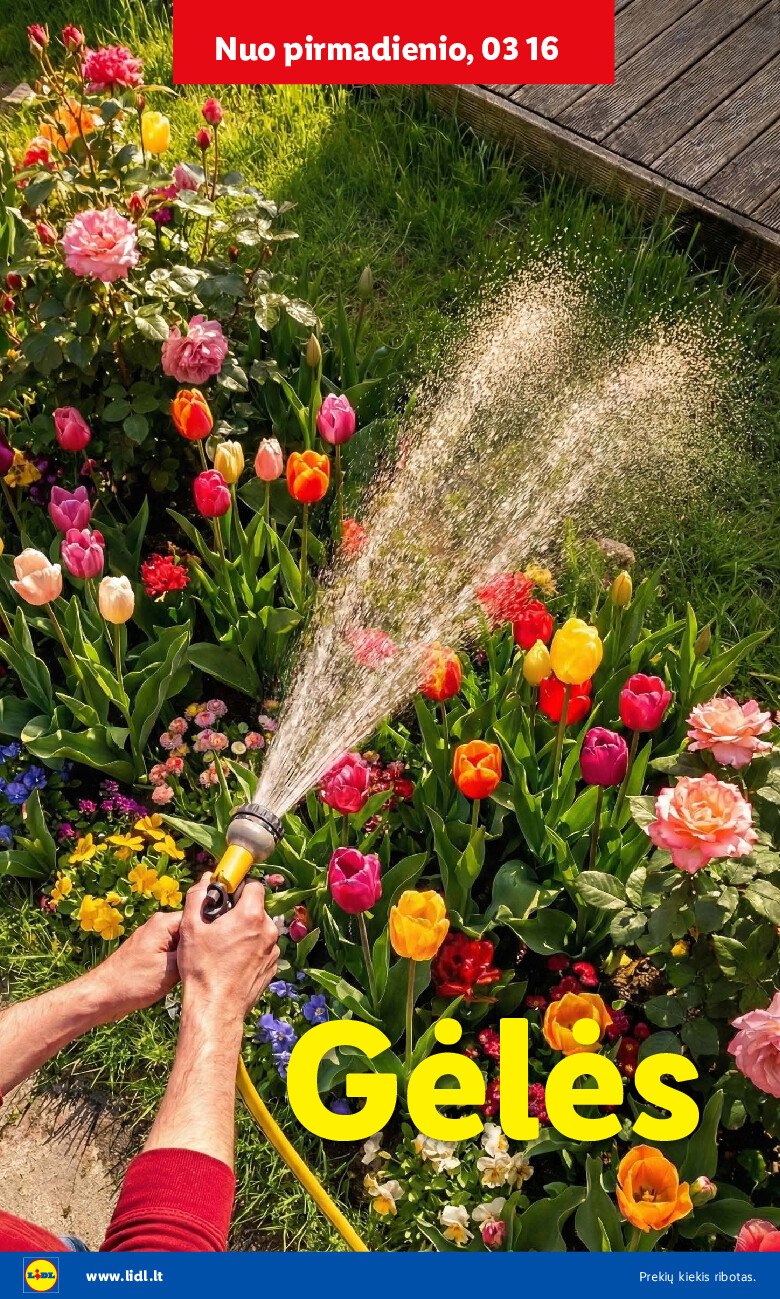 Sodui valio! (2026-02-16 - 2026-03-29) | 18