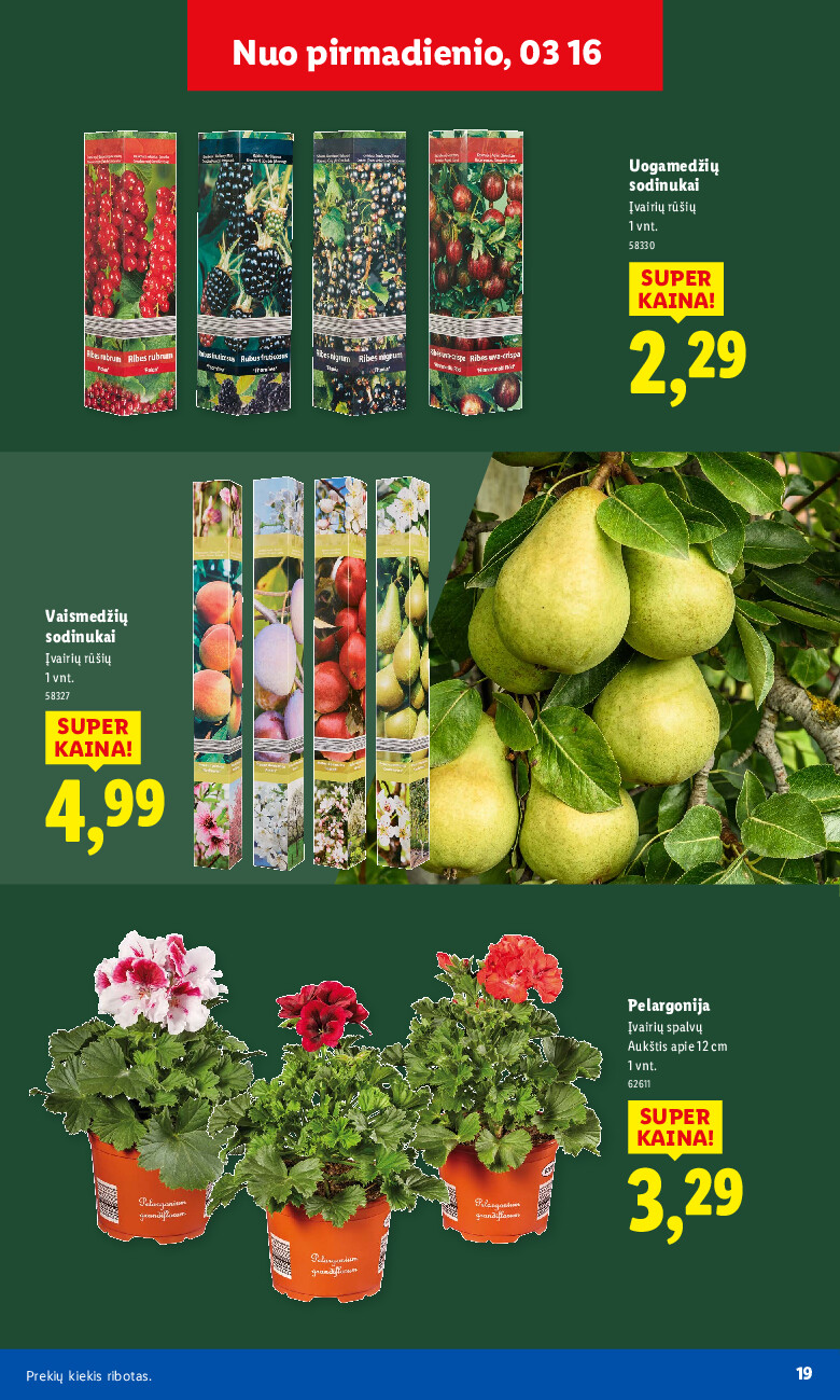 Sodui valio! (2026-02-16 - 2026-03-29) | 19