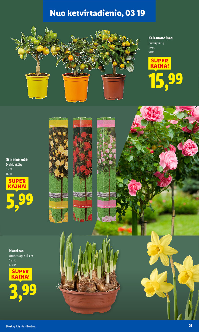 Sodui valio! (2026-02-16 - 2026-03-29) | 21