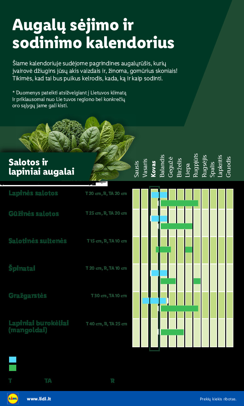 Sodui valio! (2026-02-16 - 2026-03-29) | 4