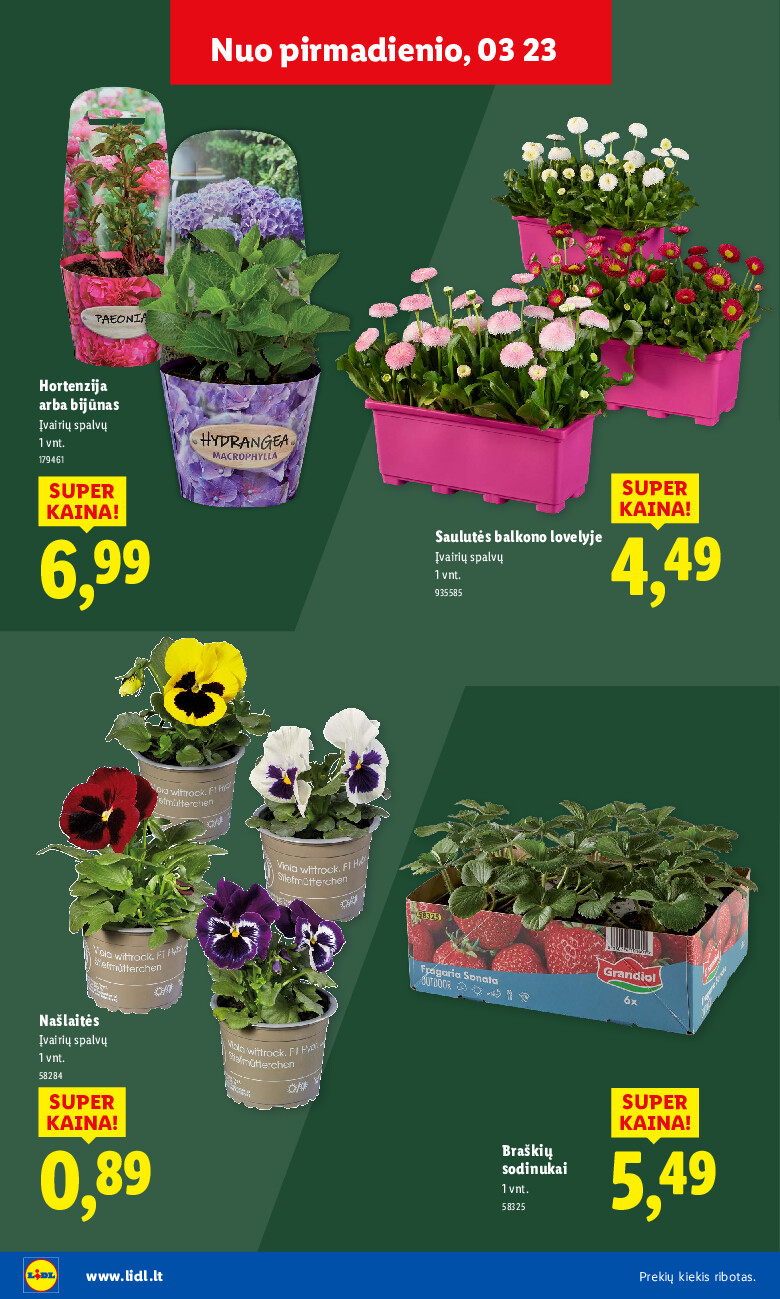 Sodui valio! (2026-02-16 - 2026-03-29) | 34