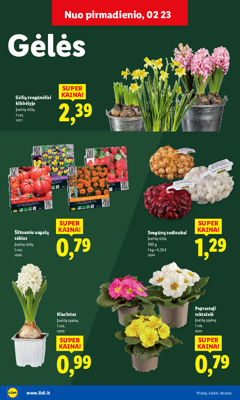 Sodui valio! (2026-02-16 - 2026-03-08) | 16