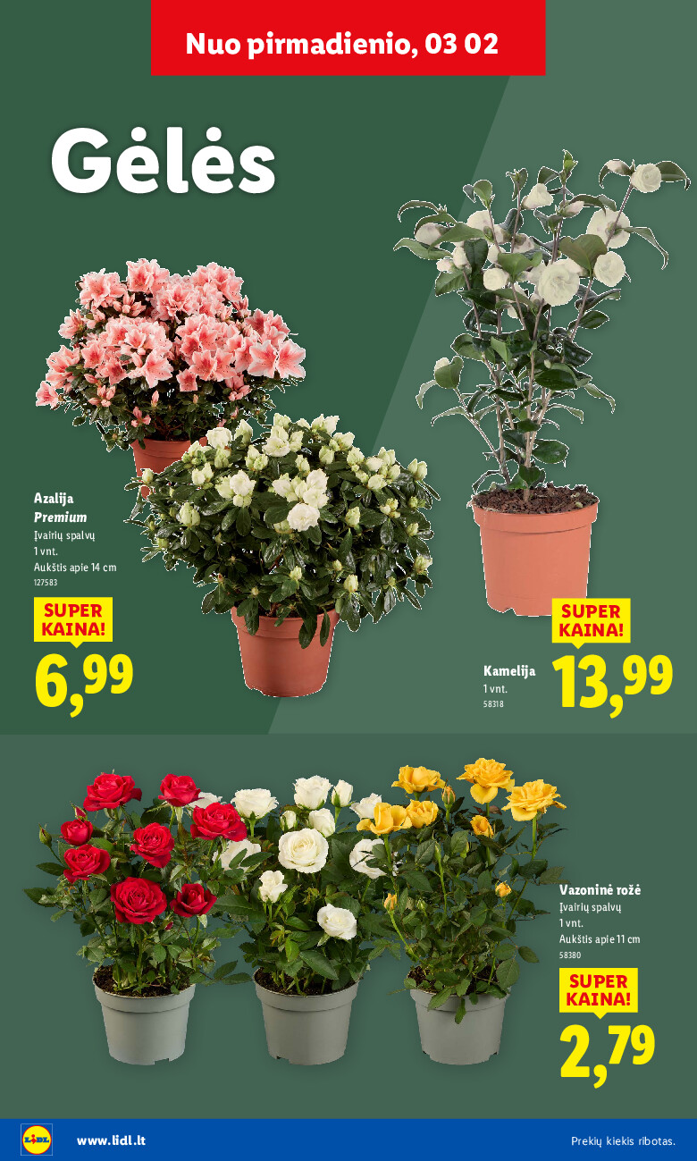 Sodui valio! (2026-02-16 - 2026-03-08) | 24