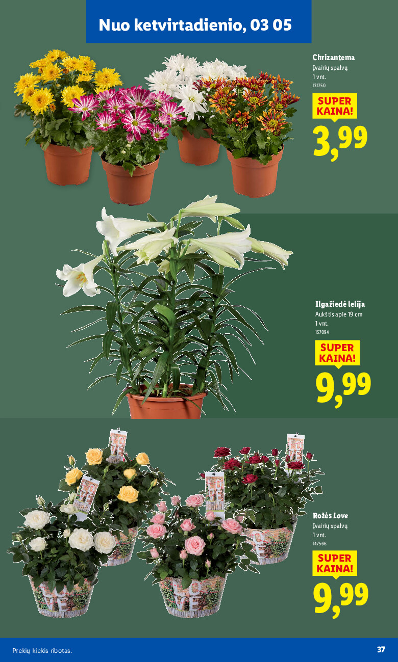 Sodui valio! (2026-02-16 - 2026-03-08) | 25