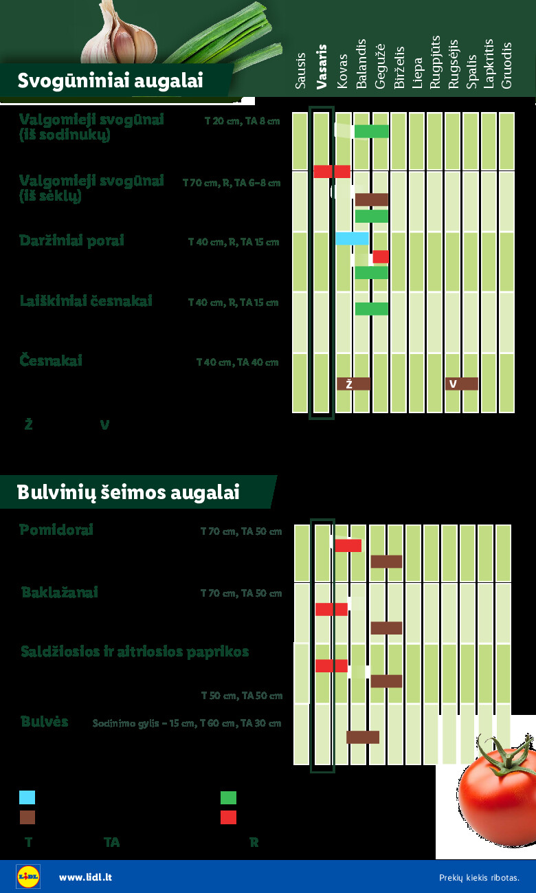 Sodui valio! (2026-02-16 - 2026-03-08) | 6