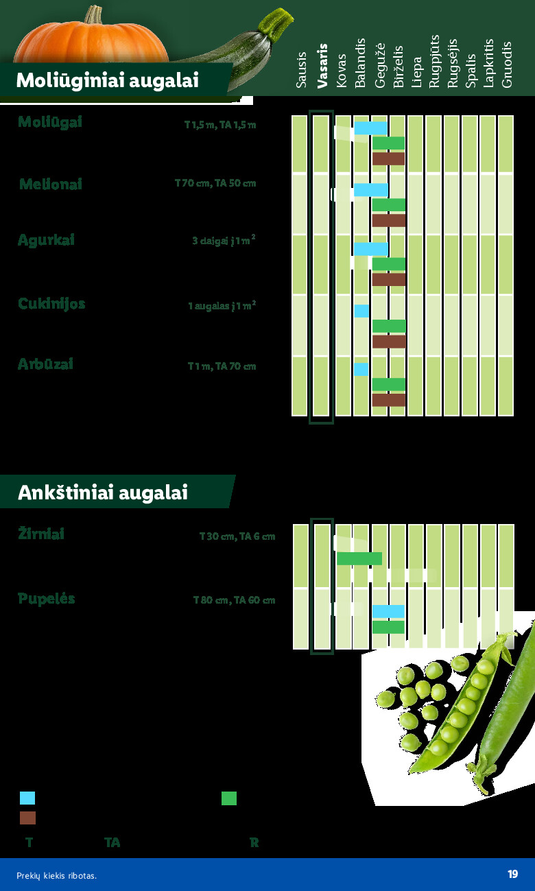 Sodui valio! (2026-02-16 - 2026-03-08) | 7