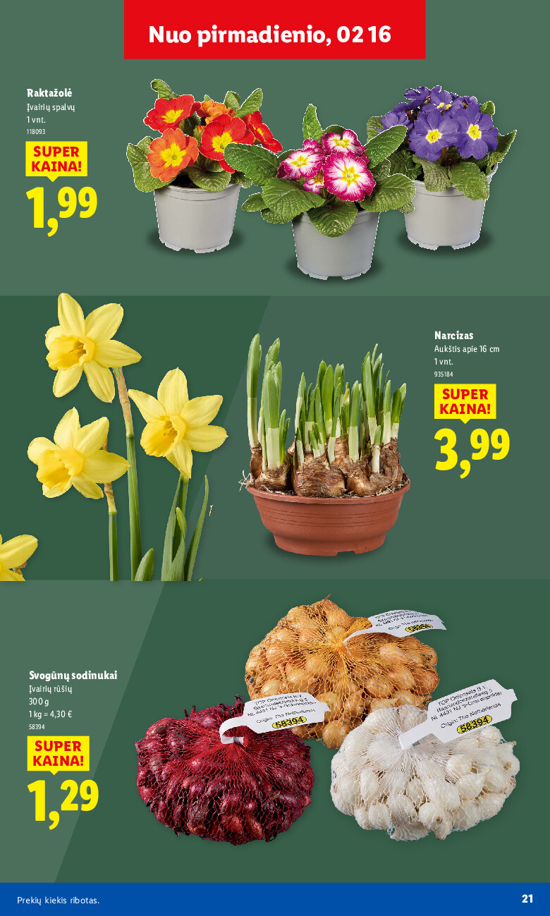 Sodui valio! (2026-02-16 - 2026-03-08) | 9