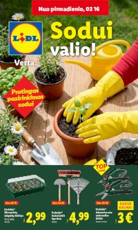 Sodui valio! (2026-02-16 - 2026-03-08)