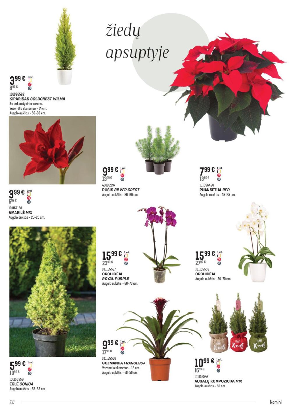 SENUKAI - Leidinys Nr.26 (2025 11 05 - 2025 11 29) | 28