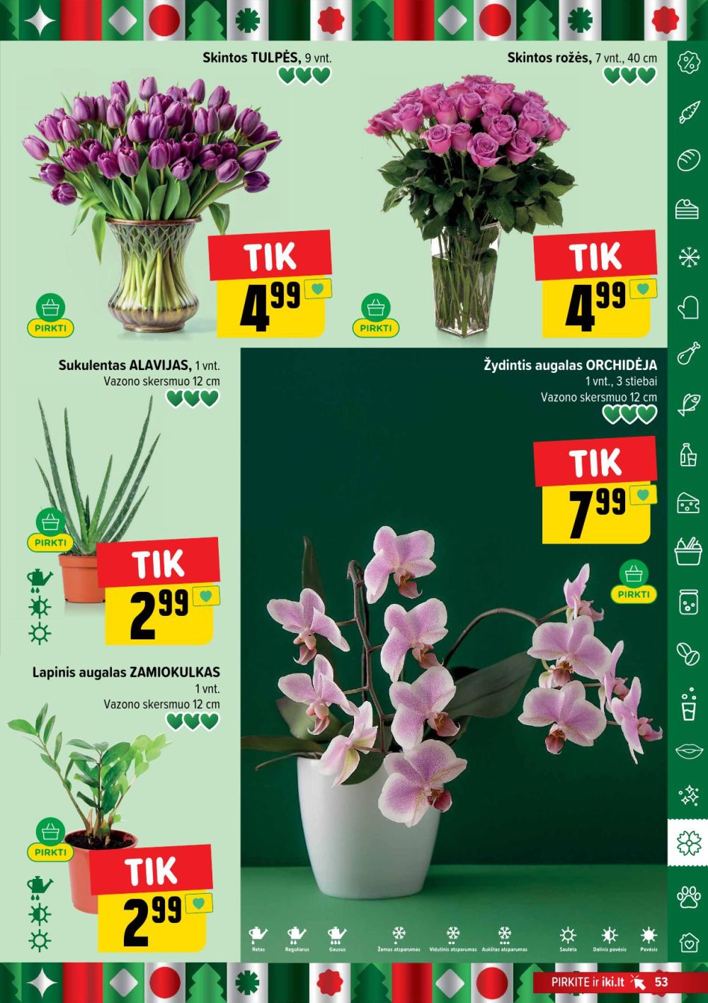 IKI - Leidinys Nr.1 (2025 12 29 - 2026 01 04) | 53