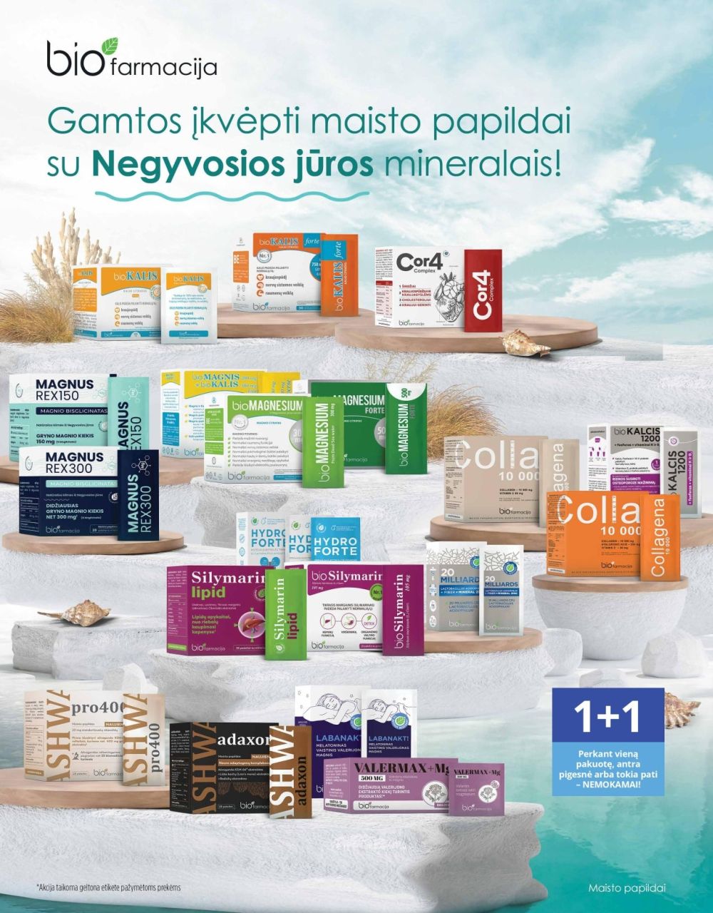 NVAISTINĖ (2026 02 01 - 2026 02 28) | 2