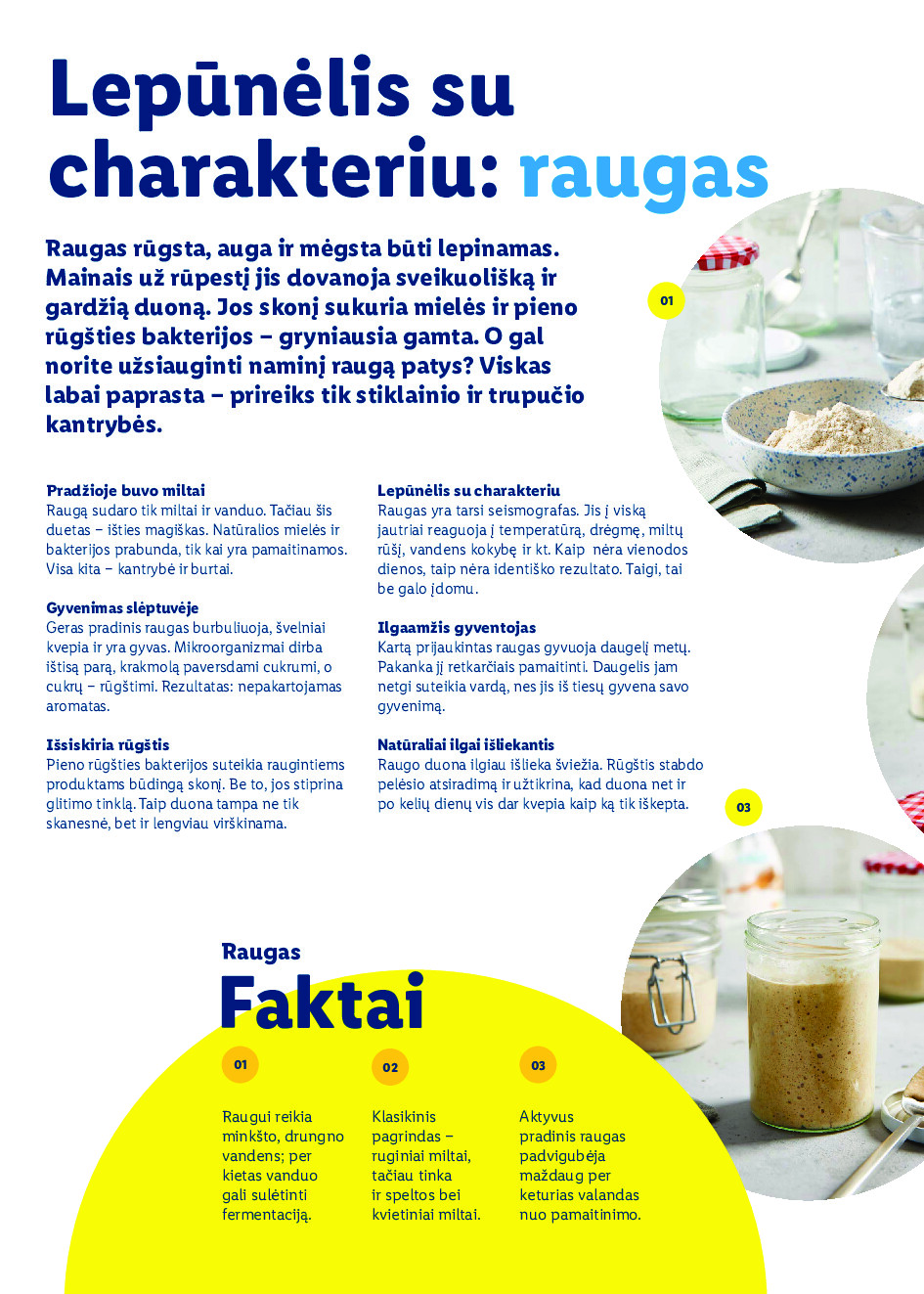 Velykos, pilnos džiaugsmo (2026-02-23 - 2026-04-06) | 50