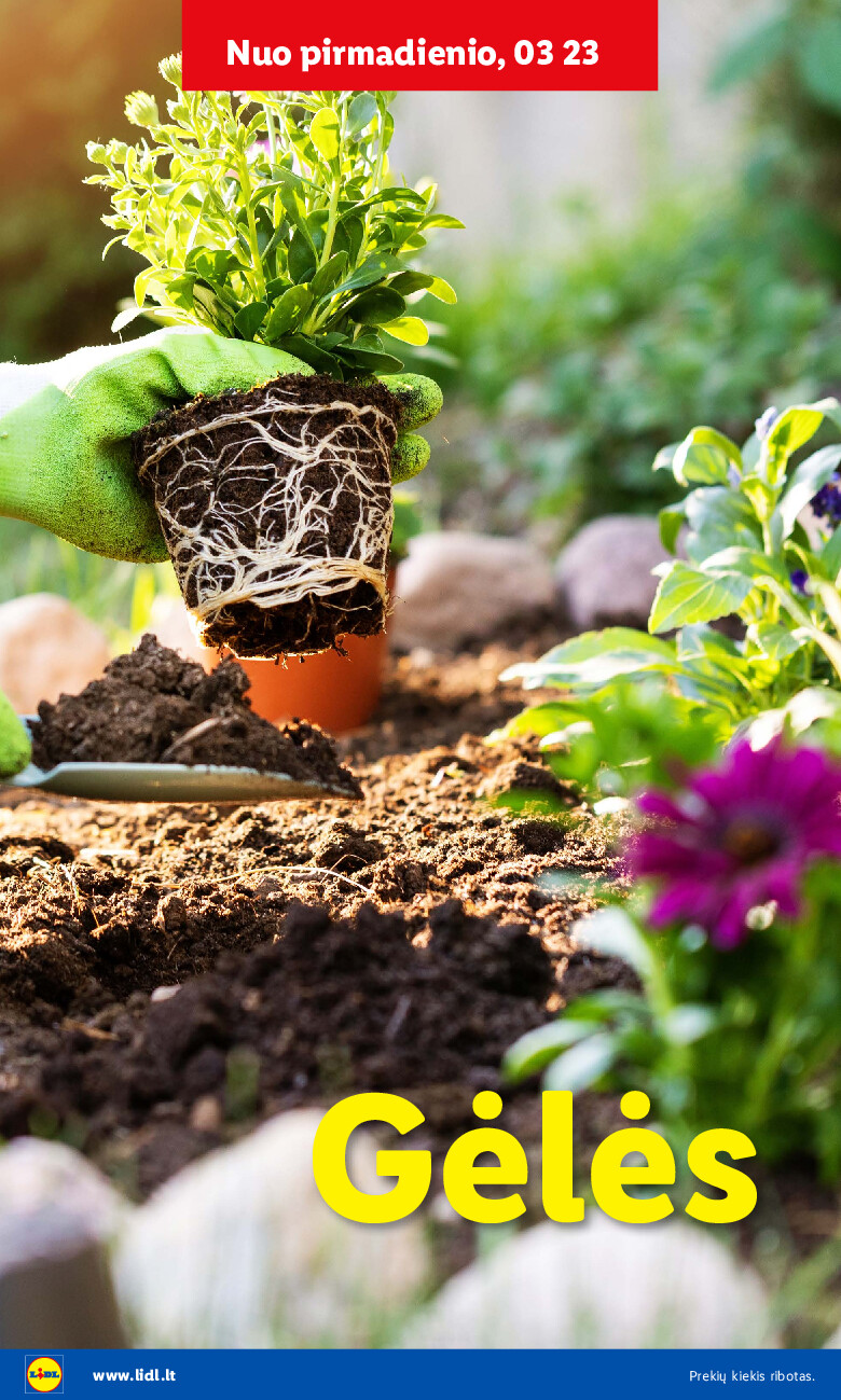 Sodui valio! (2026-02-16 - 2026-03-29) | 32