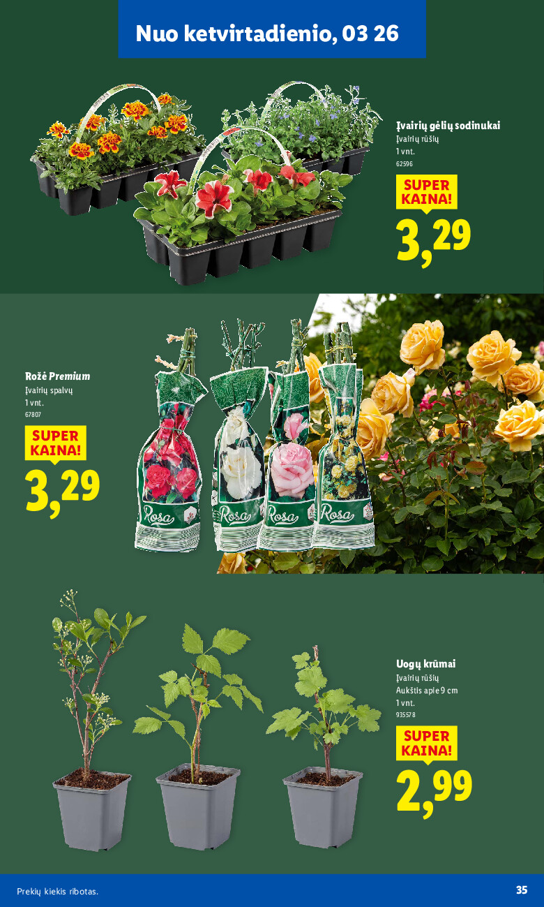 Sodui valio! (2026-02-16 - 2026-03-29) | 35