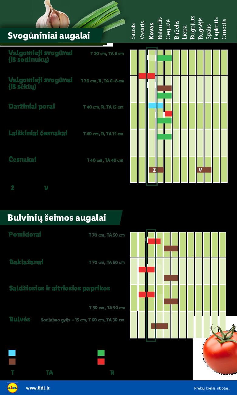 Sodui valio! (2026-02-16 - 2026-03-29) | 6