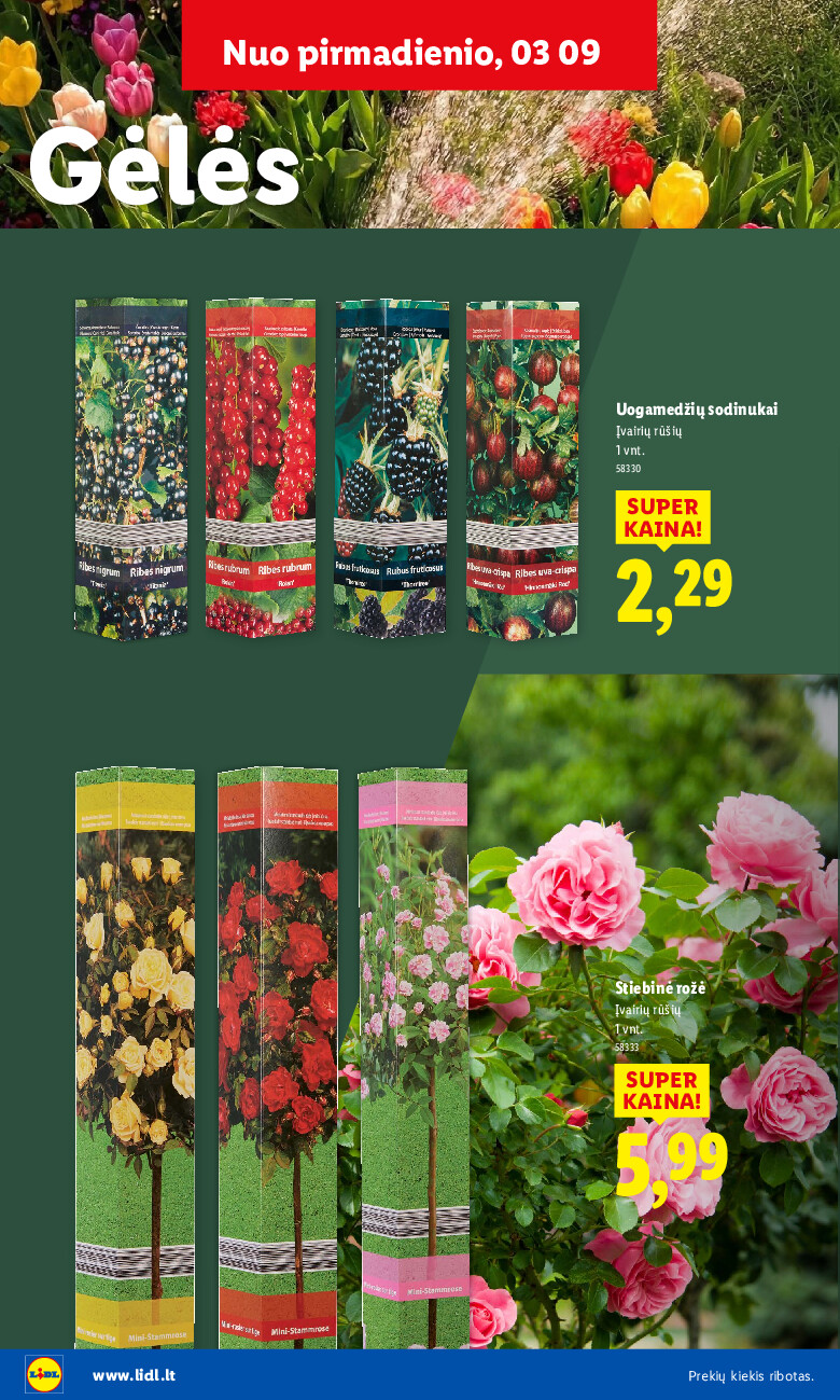 Sodui valio! (2026-02-16 - 2026-03-29) | 8