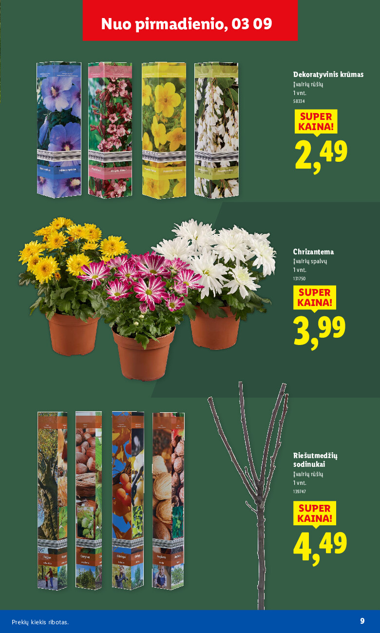 Sodui valio! (2026-02-16 - 2026-03-29) | 9