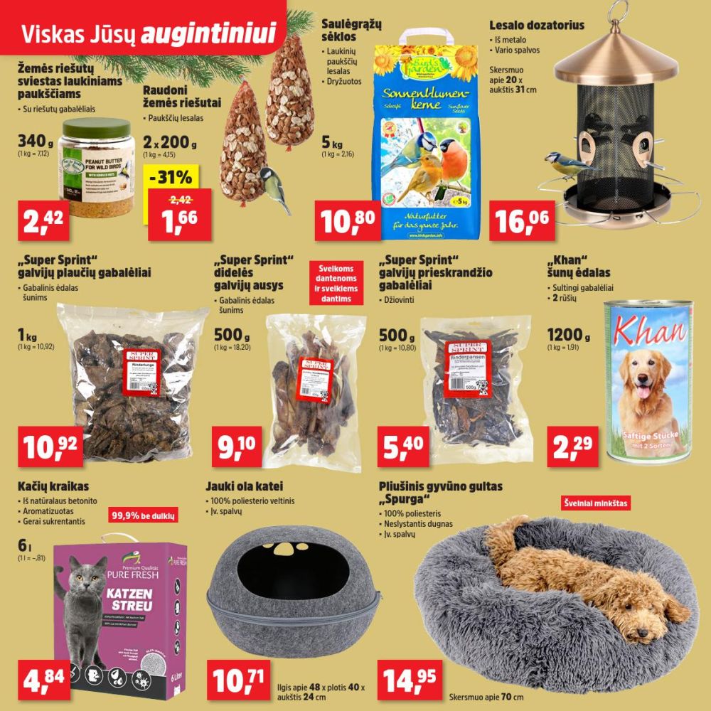 THOMAS PHILIPPS (2025 12 01 - 2025 12 06) | 19