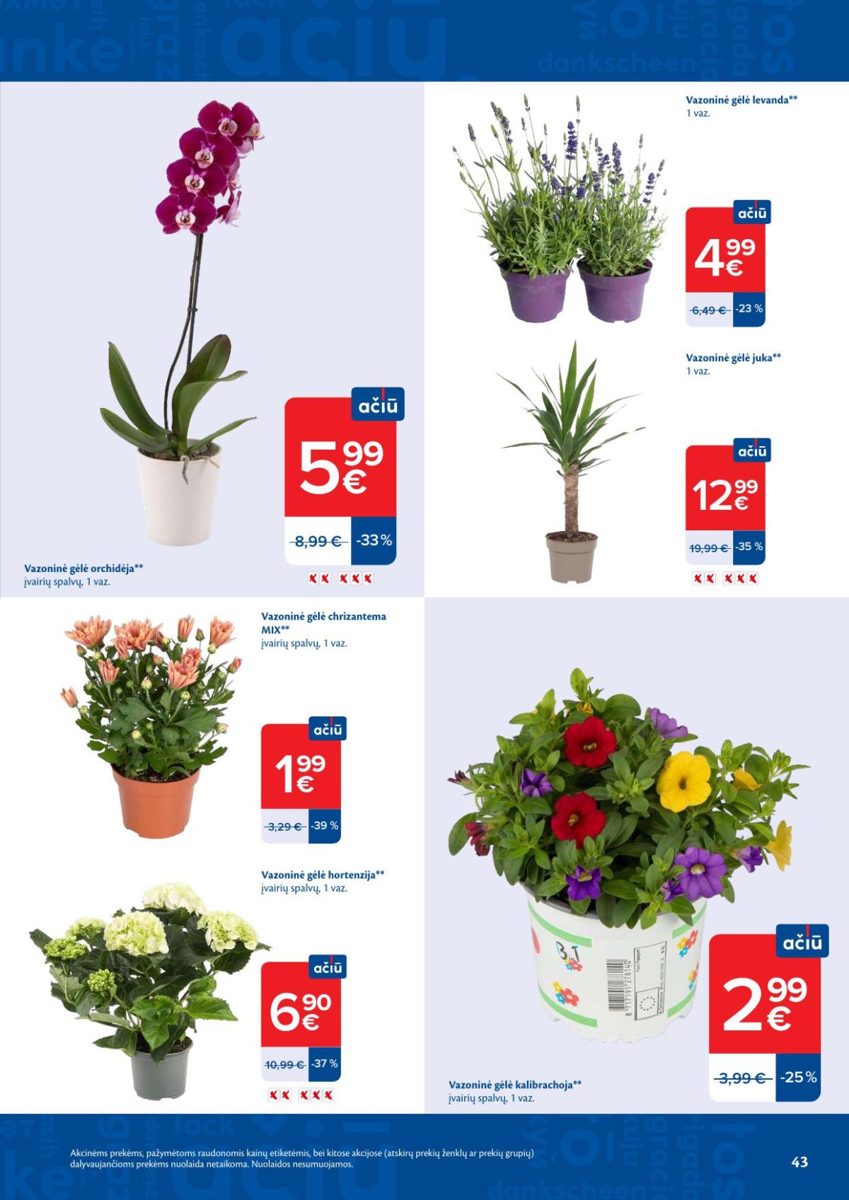 MAXIMA - Kaininis leidinys Nr.24 (2026 06 09 - 2026 06 15) | 22