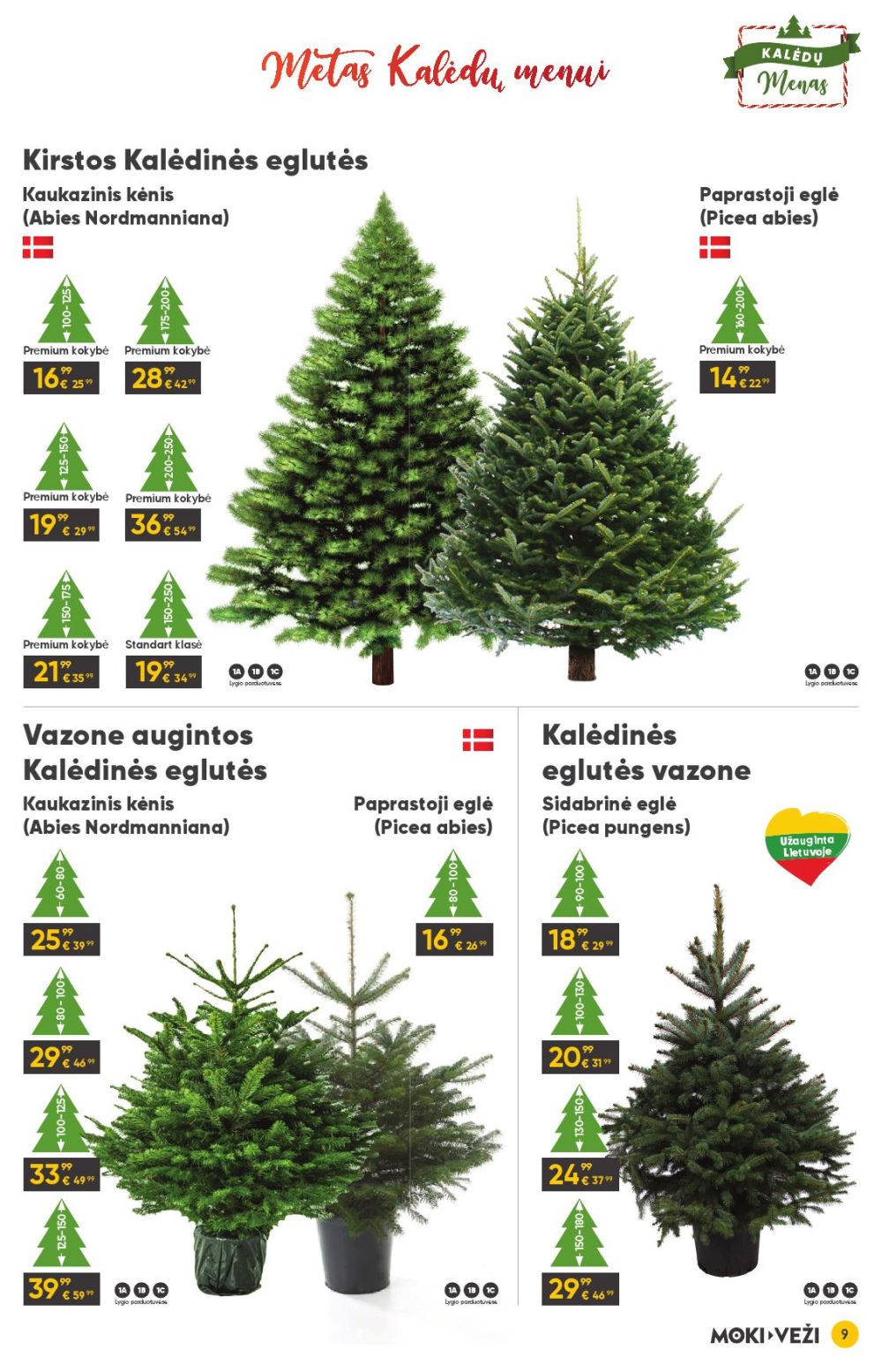 MOKI - VEŽI - Leidinys Nr.13 (2025 12 11 - 2026 01 06) | 9