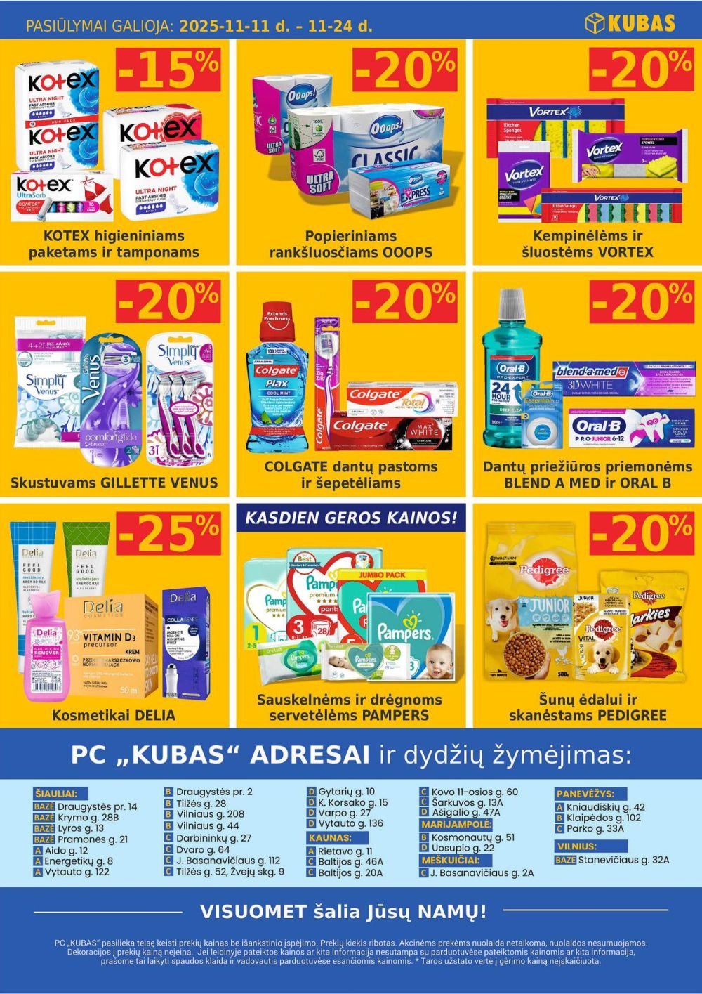 KUBAS (2025 11 11 - 2025 11 24) | 11