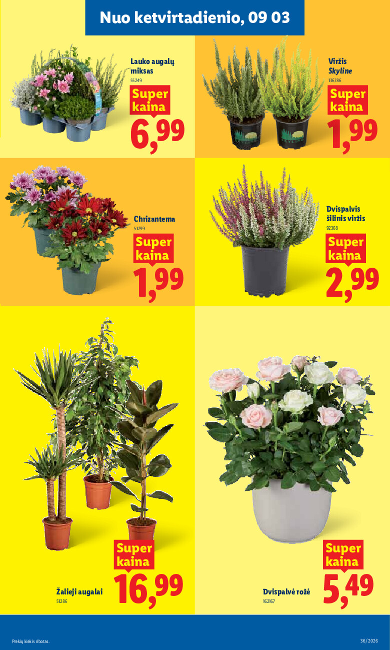 MAISTO PREKIŲ PASIŪLYMAI (2026-08-31 - 2026-09-06) | 7