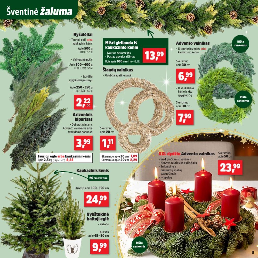 THOMAS PHILIPPS (2025 11 24 - 2025 11 29) | 3