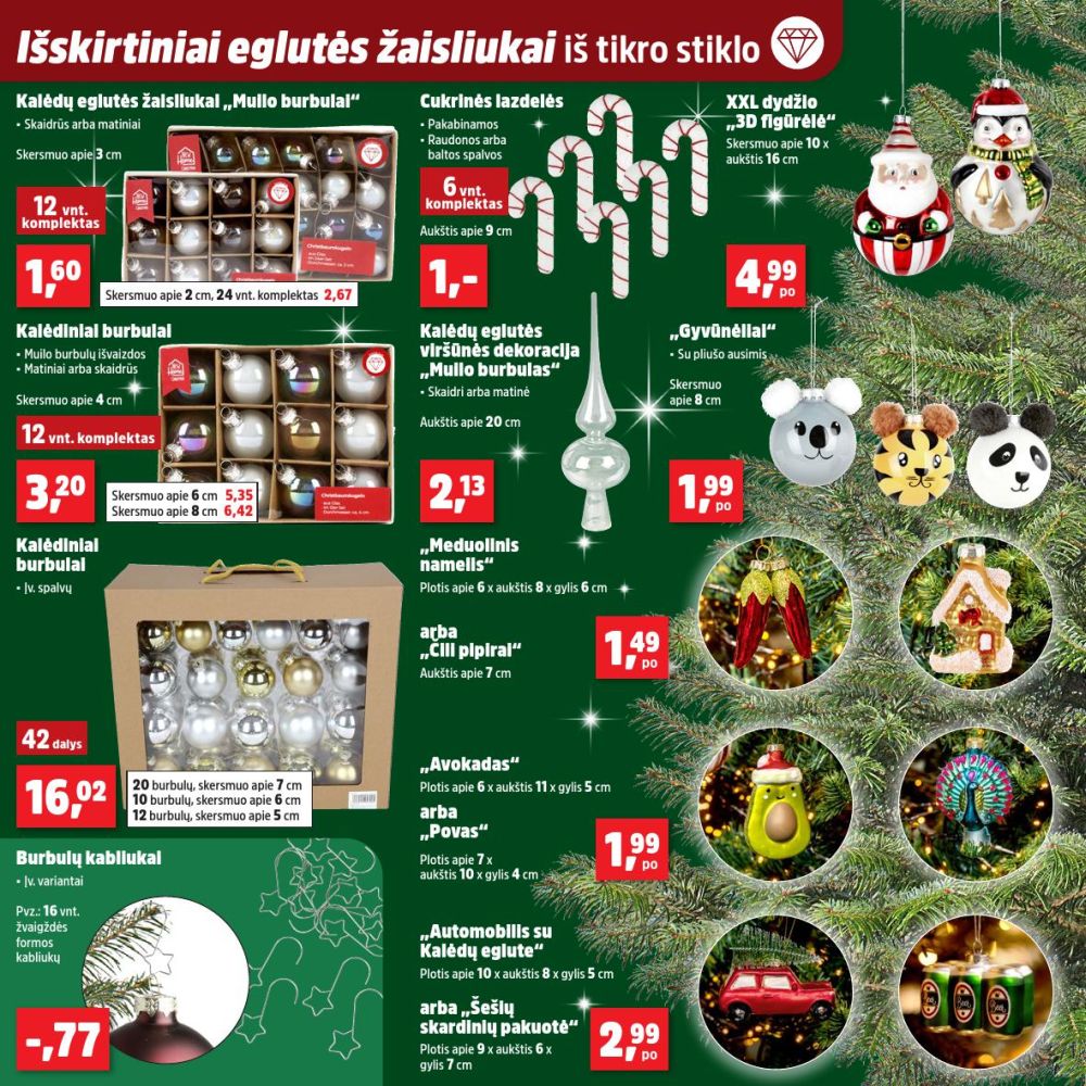 THOMAS PHILIPPS (2025 11 24 - 2025 11 29) | 6