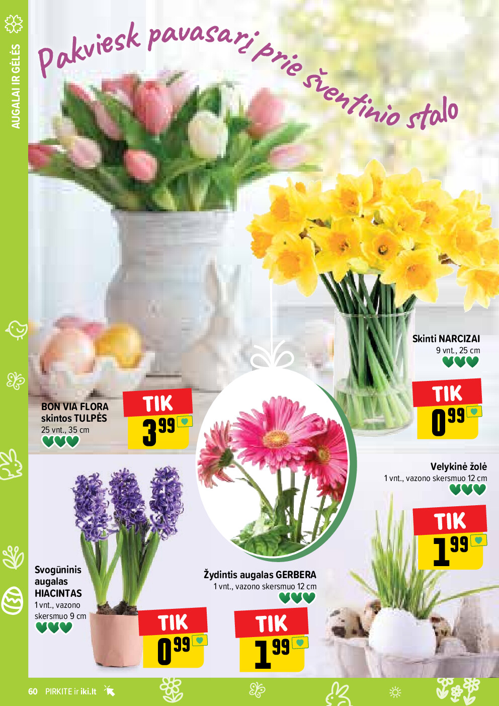  (2026-03-30 - 2026-04-04) | 60