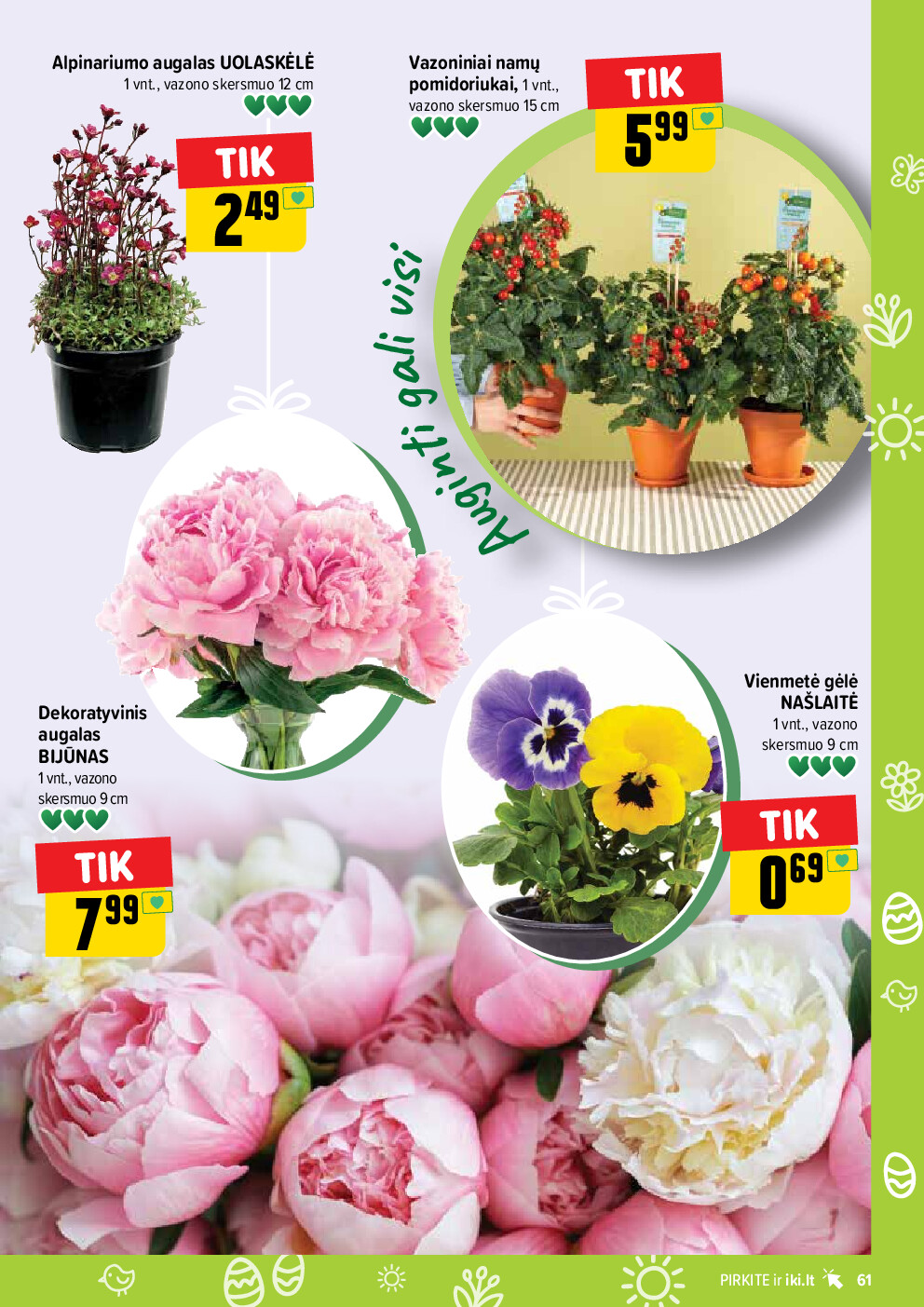  (2026-03-30 - 2026-04-04) | 61