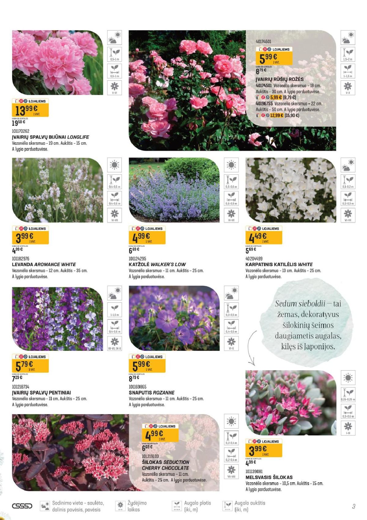 SENUKAI - Leidinys Nr.11 (2026 04 16 - 2026 05 14) | 2