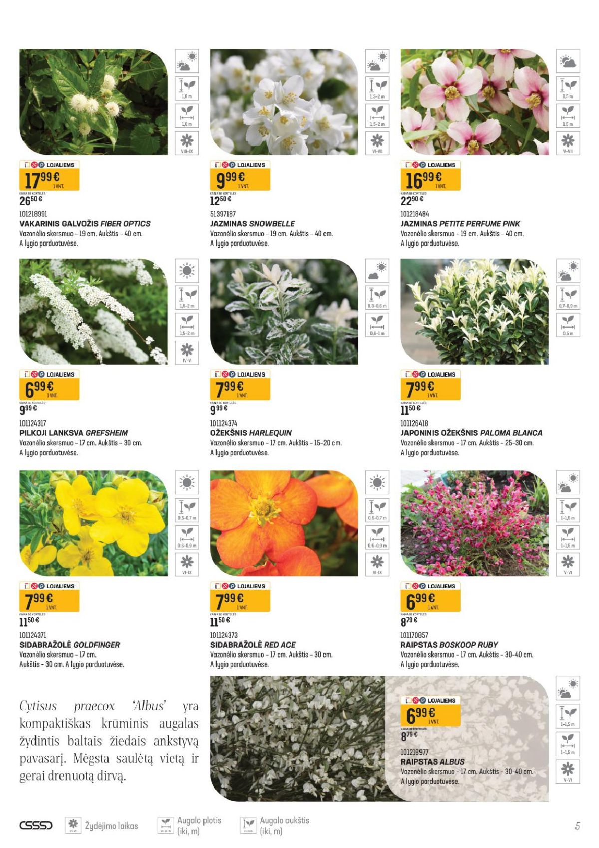 SENUKAI - Leidinys Nr.11 (2026 04 16 - 2026 05 14) | 3