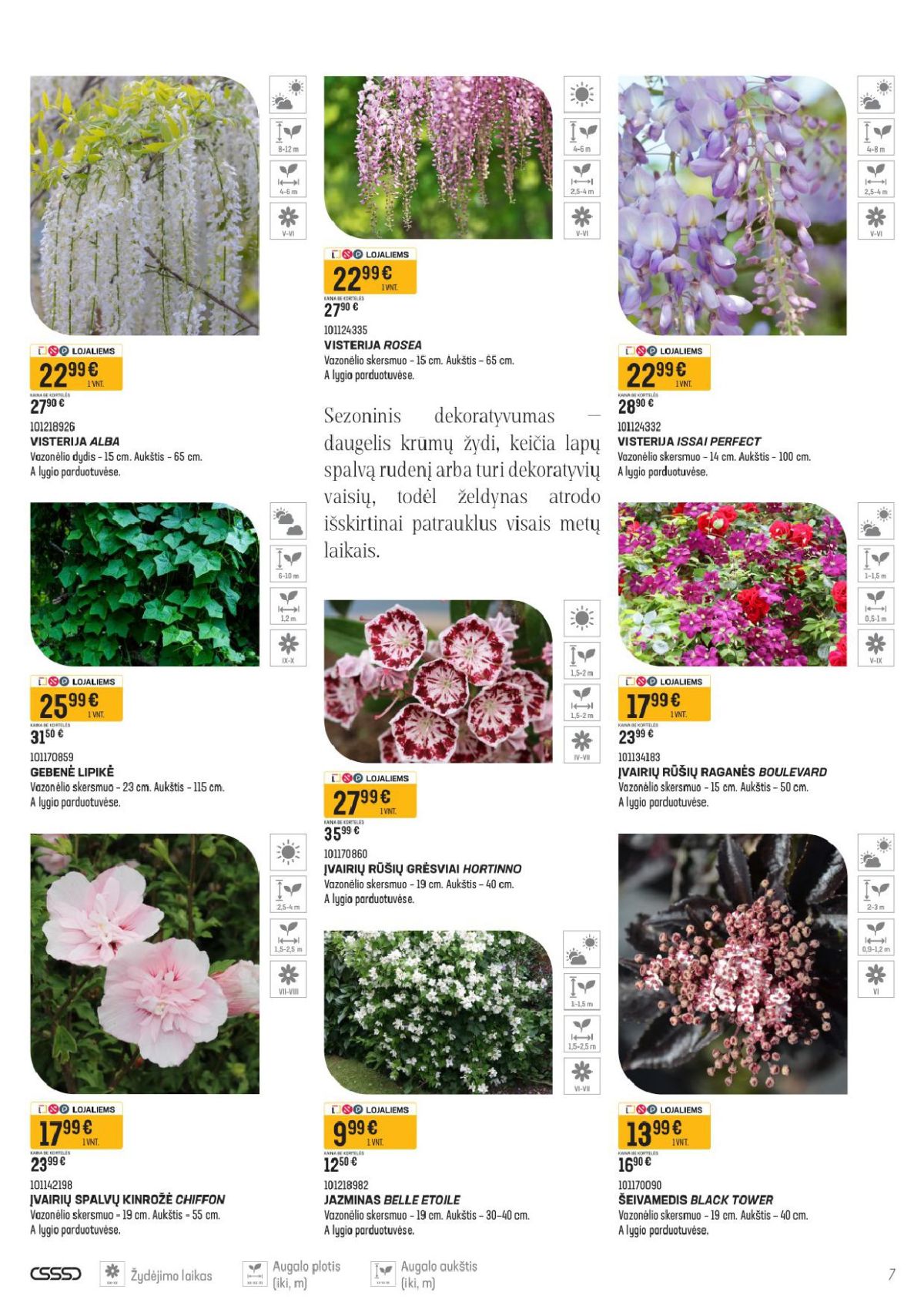 SENUKAI - Leidinys Nr.11 (2026 04 16 - 2026 05 14) | 4