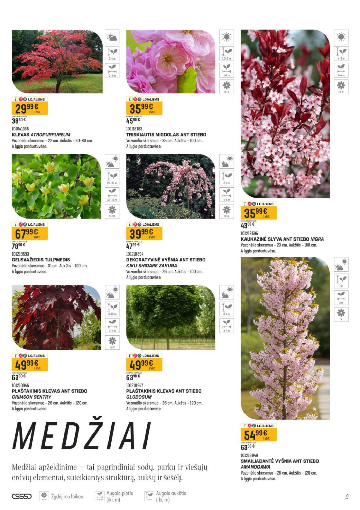 SENUKAI - Leidinys Nr.11 (2026 04 16 - 2026 05 14) | 5