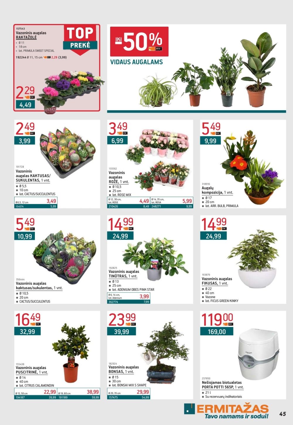 ERMITAŽAS (2026 02 02 - 2026 03 01) | 45