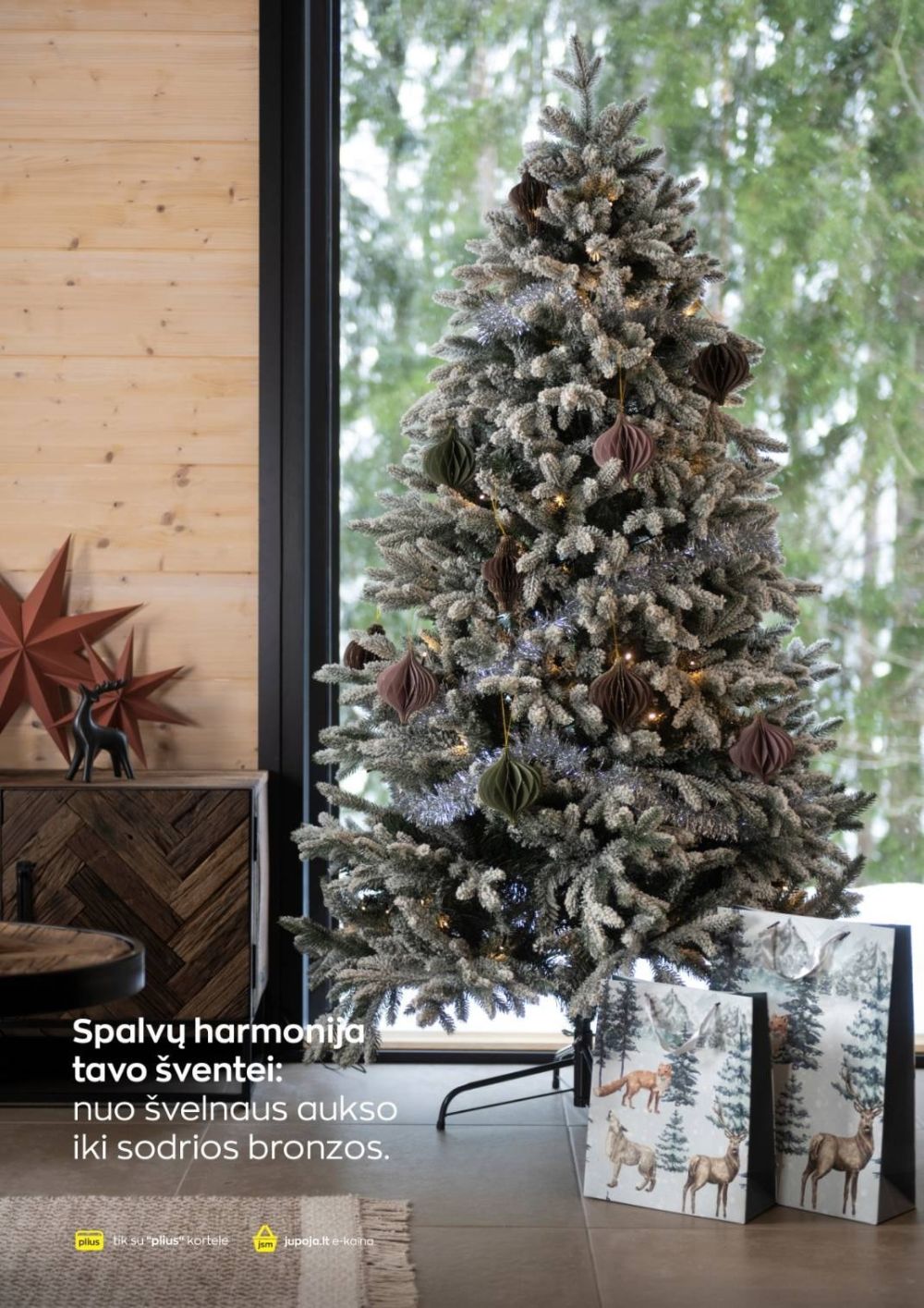 JUPOJA (2025 12 01 - 2026 01 05) | 11