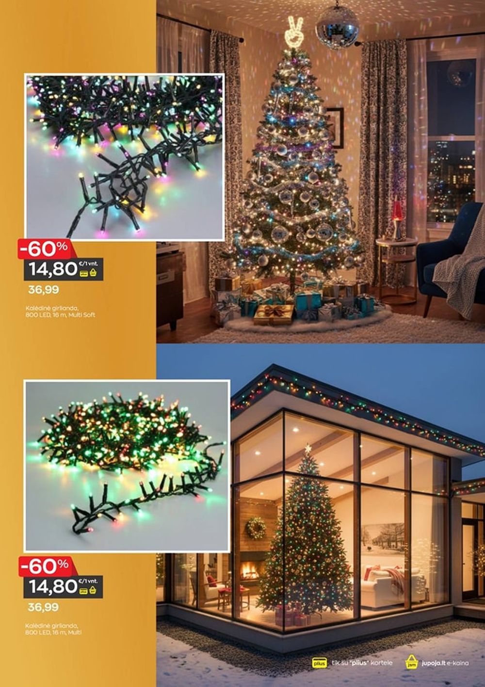 JUPOJA (2025 12 01 - 2026 01 05) | 28