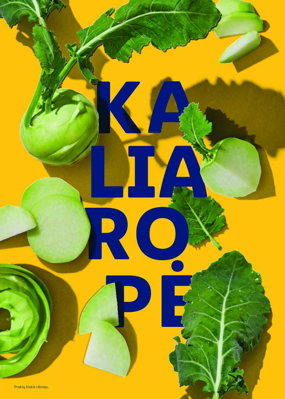 Velykos, pilnos džiaugsmo (2026-02-23 - 2026-04-06) | 86