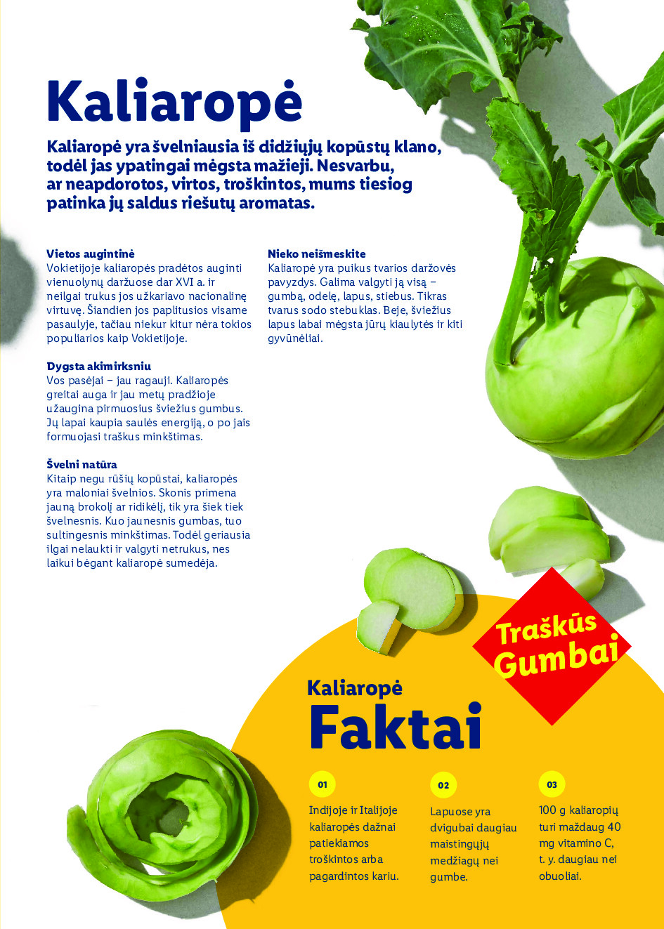 Velykos, pilnos džiaugsmo (2026-02-23 - 2026-04-06) | 87