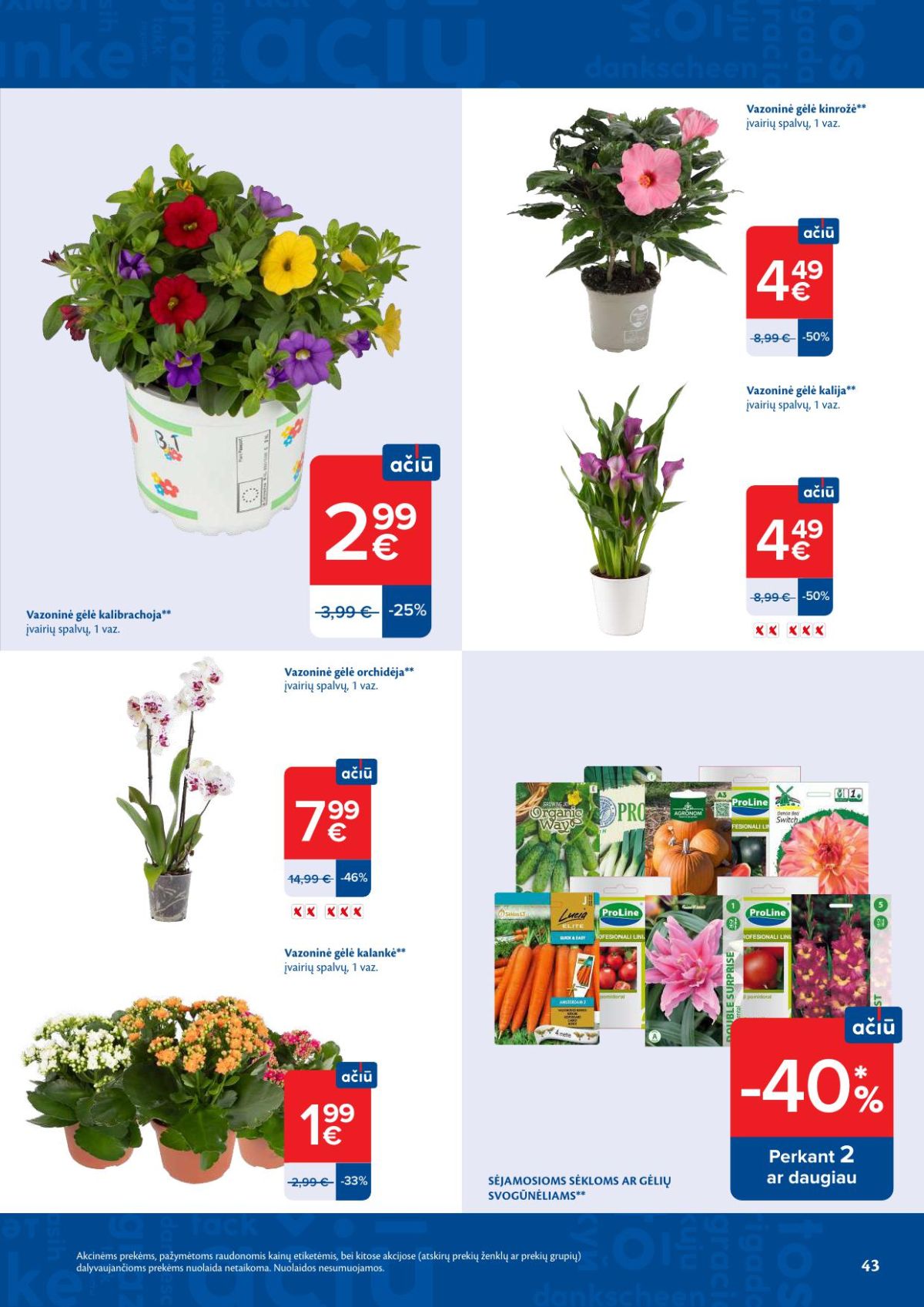 MAXIMA - Kaininis leidinys Nr.19 (2026 05 05 - 2026 05 11) | 22