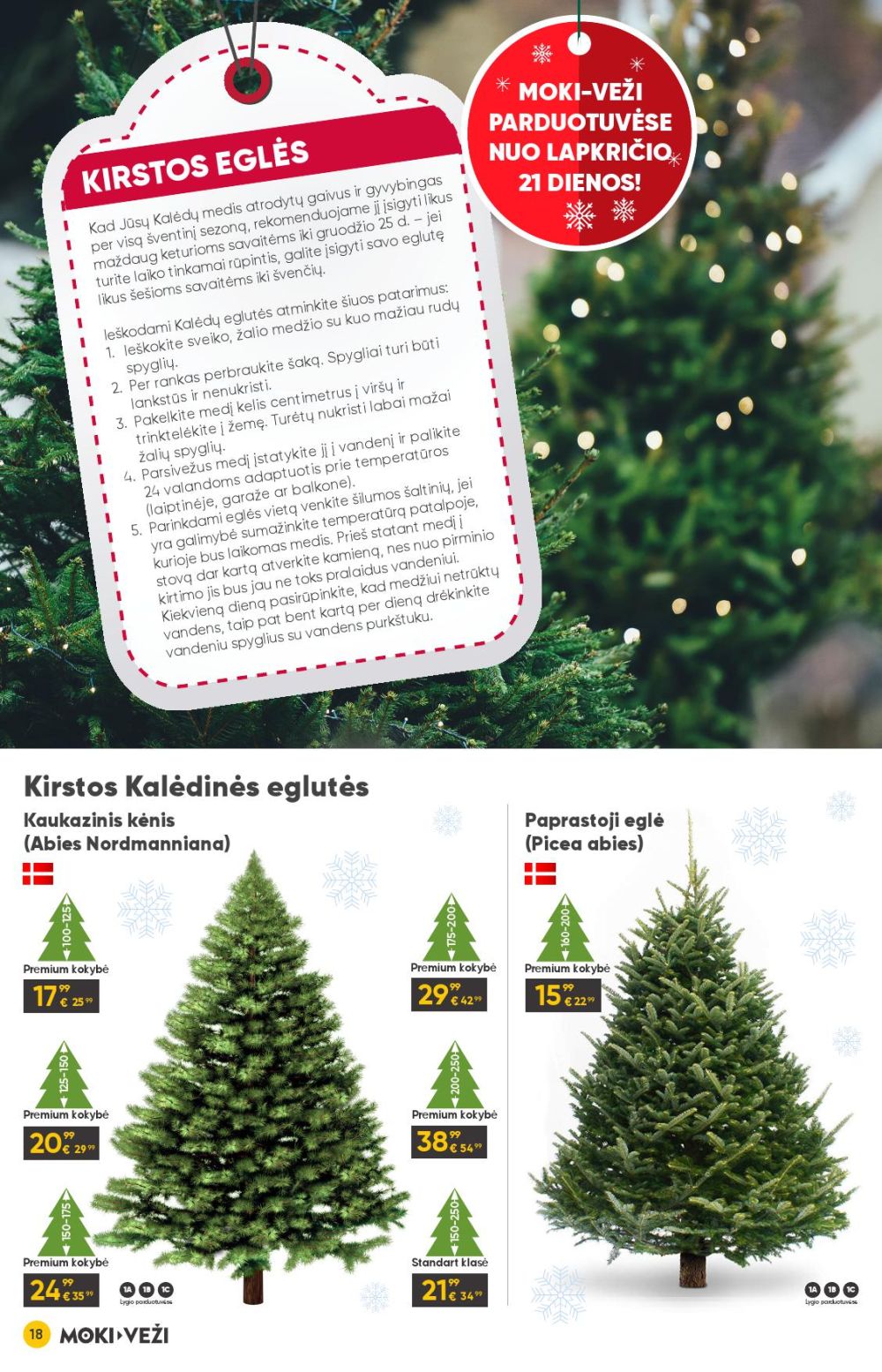 MOKI - VEŽI - Leidinys Nr.12 (2025 11 13 - 2025 12 09) | 18