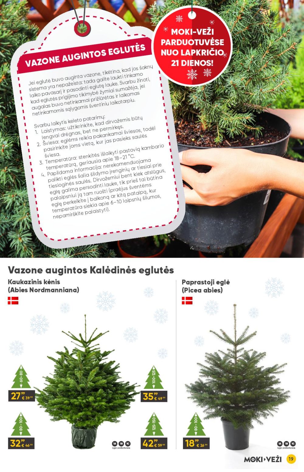 MOKI - VEŽI - Leidinys Nr.12 (2025 11 13 - 2025 12 09) | 19